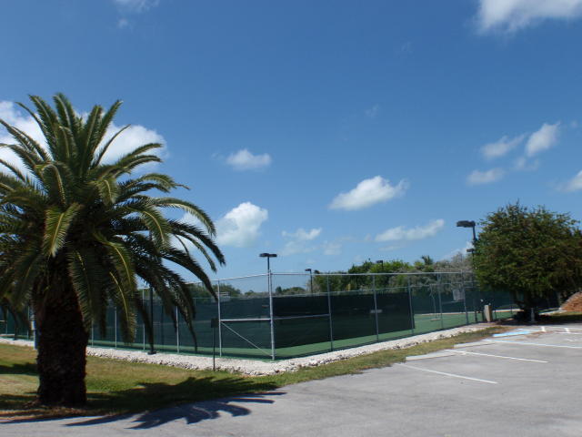 270 9th Street Key Colony Beach, FL 33051 - Photo 31 of 37 a view of a palm tree next to a yard