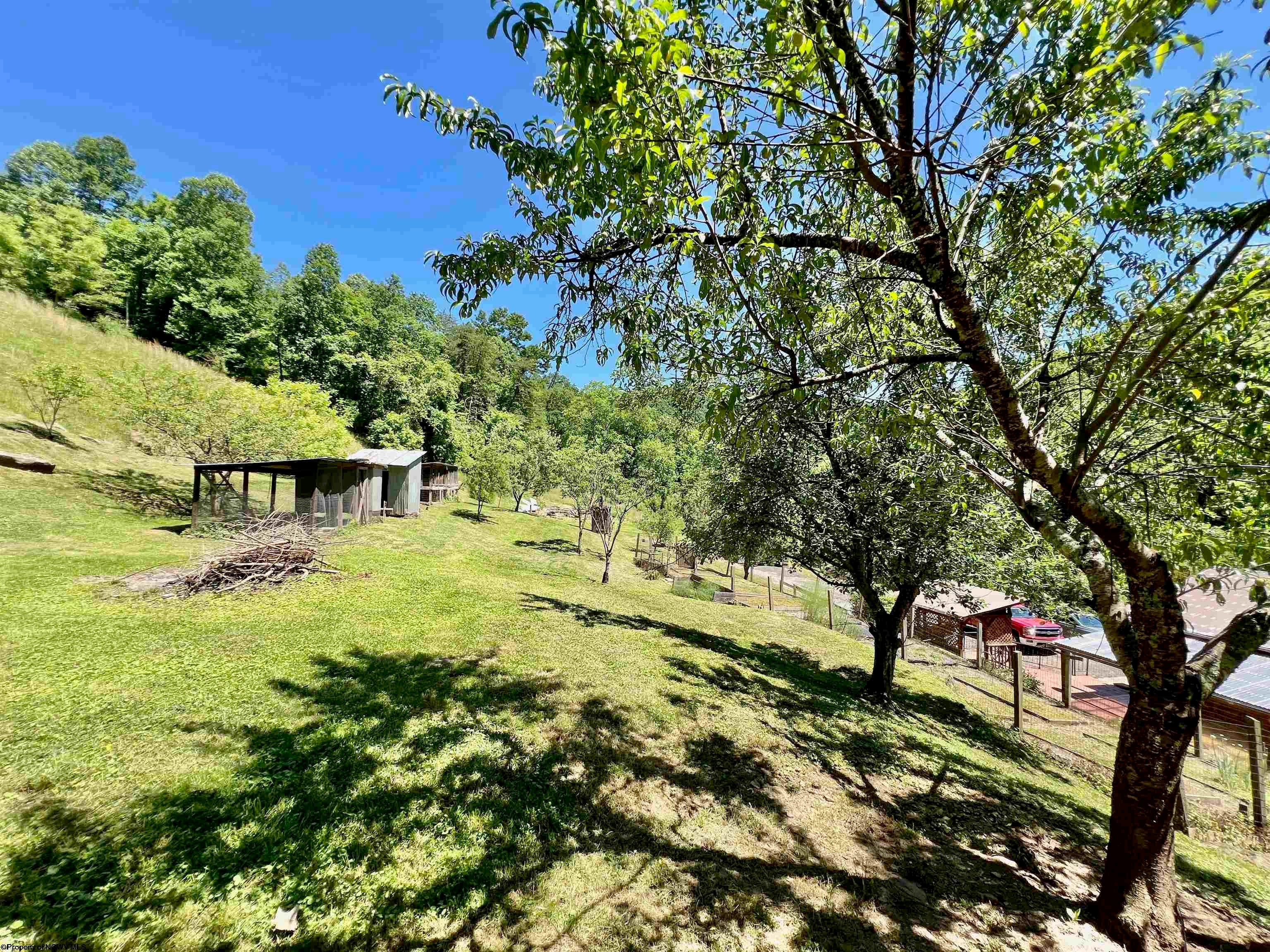 862 3 Lick Road Orlando, WV 26412 - Photo 32 of 49 Gallery Image 32
