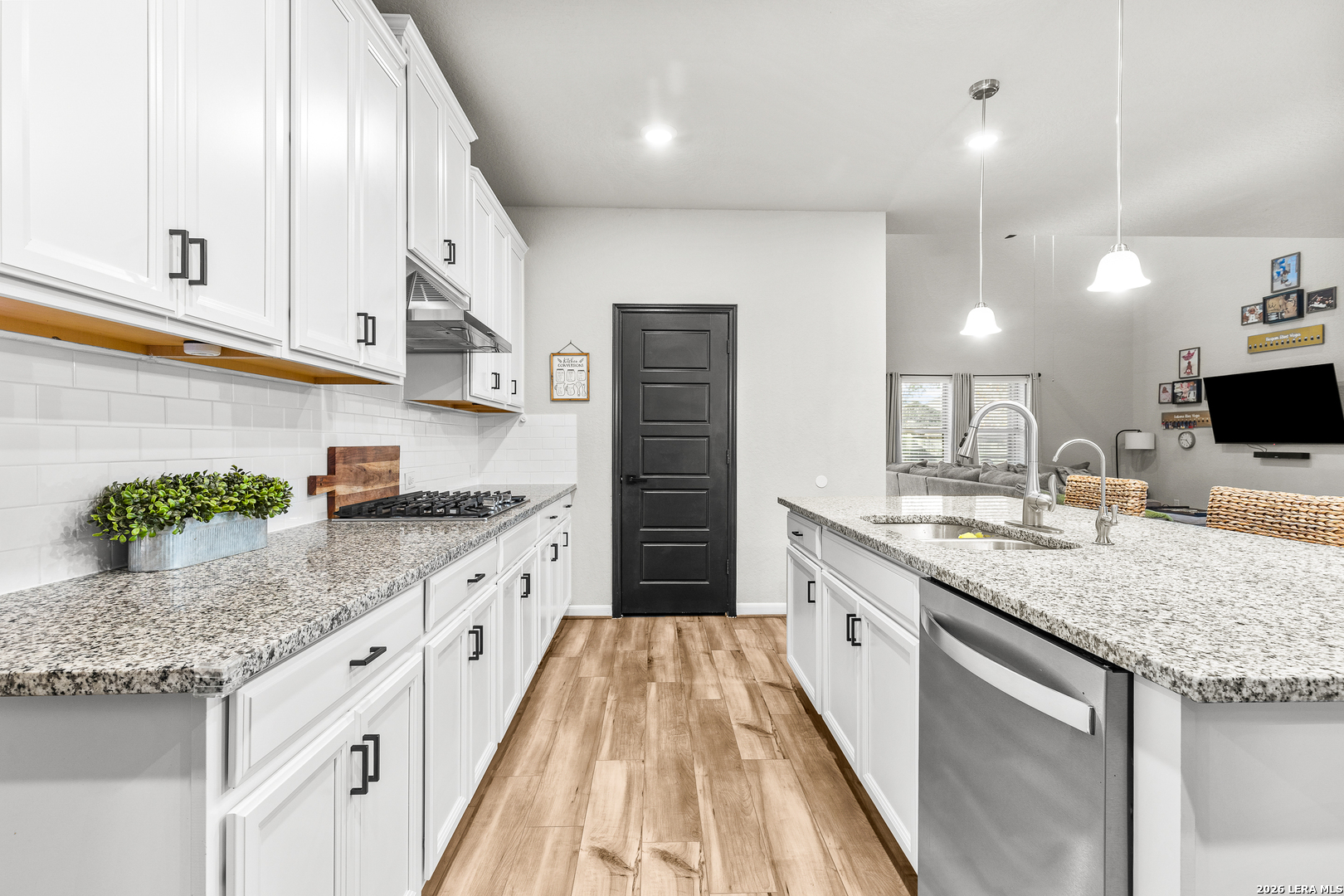 2510 Pitcher Ranch San Antonio, TX 78253 - Photo 11 of 48