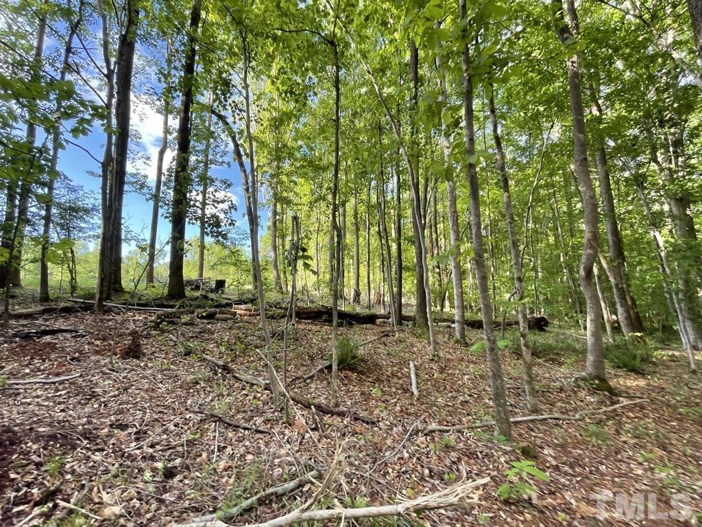 Lot 4 Our Road Oxford, NC 27565 - Photo 1 of 32 Gallery Image 1