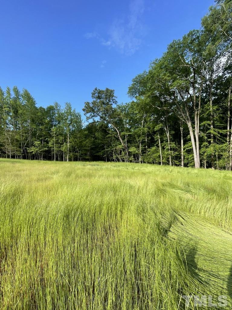 Lot 4 Our Road Oxford, NC 27565 - Photo 22 of 32 Gallery Image 22
