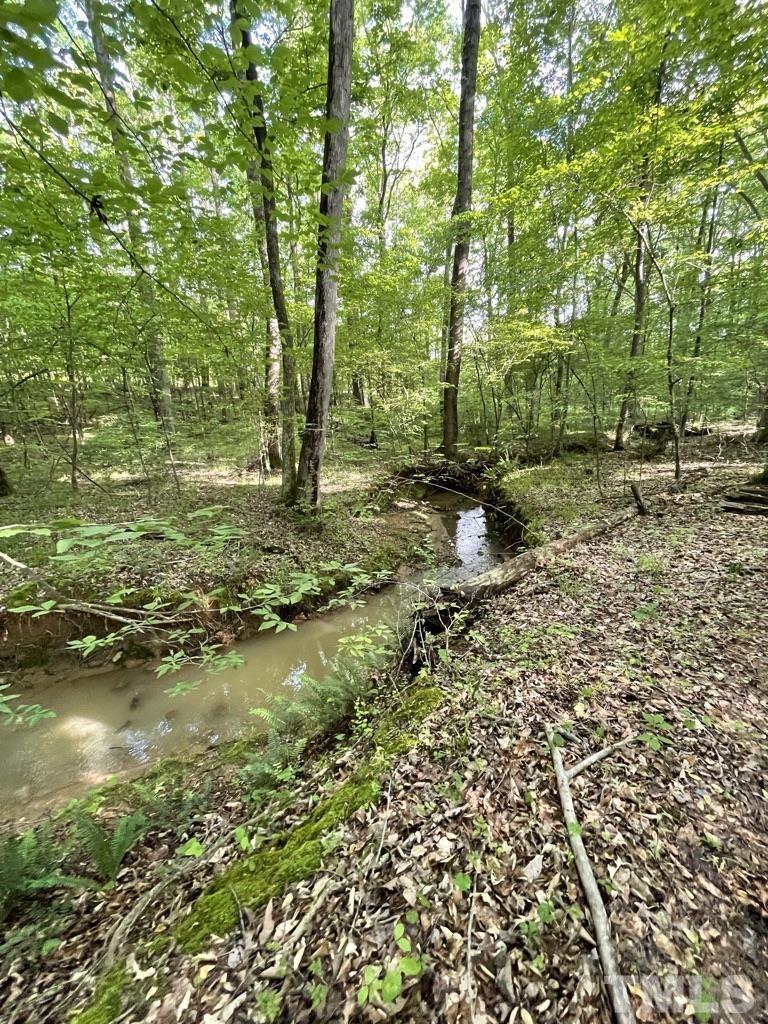 Lot 4 Our Road Oxford, NC 27565 - Photo 24 of 32 Gallery Image 24