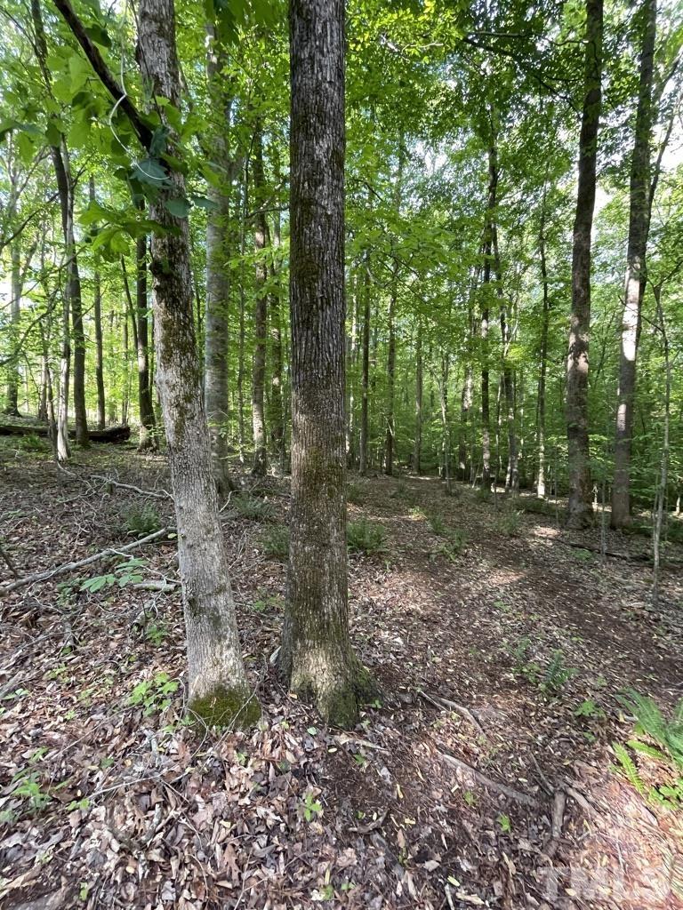 Lot 4 Our Road Oxford, NC 27565 - Photo 27 of 32 Gallery Image 27