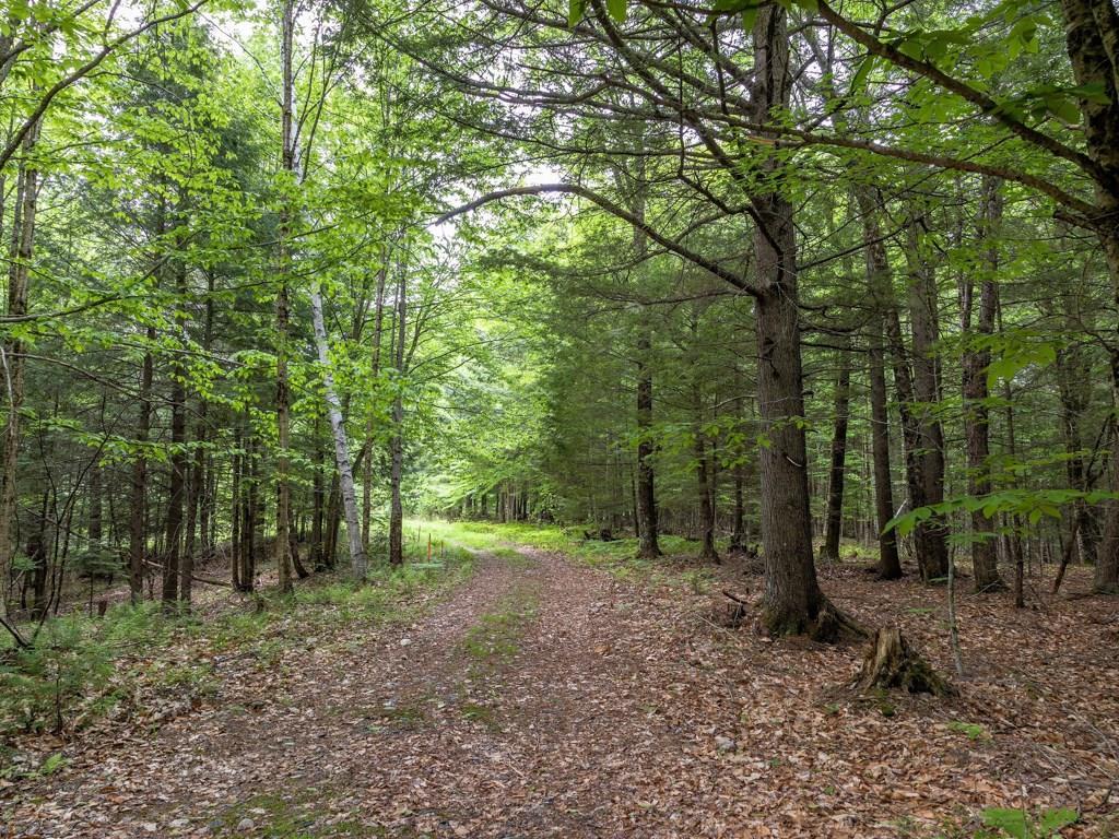 239 Tuttle Road Cumberland Center, ME 04021 - Photo 25 of 28 Photo