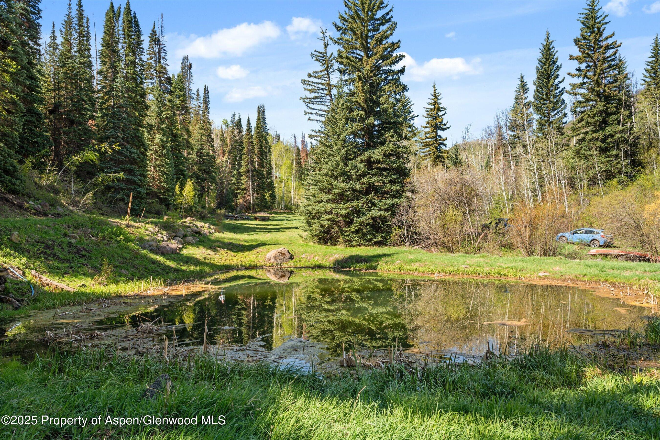 0 East Divide Creek Road New Castle, CO 81647 - Photo 14 of 45 03-0EDivideCreekRd_25052206