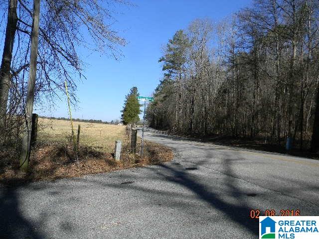 0 Hebb Road, Unit 11 5 Wilsonville, AL 35186 - Photo 5 of 14