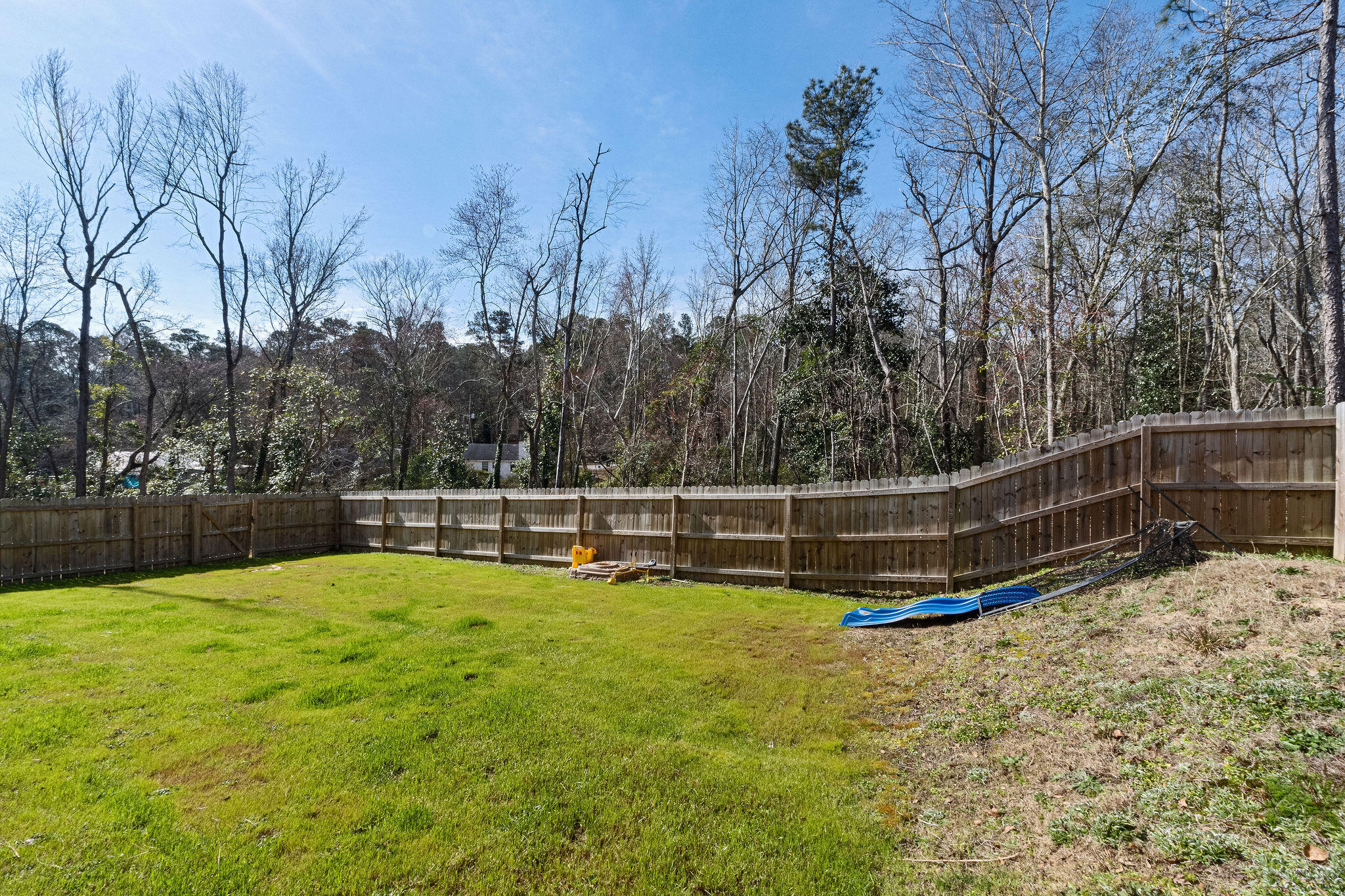 1410 Womrath Road North Augusta, SC 29841 - Photo 32 of 41 Backyard