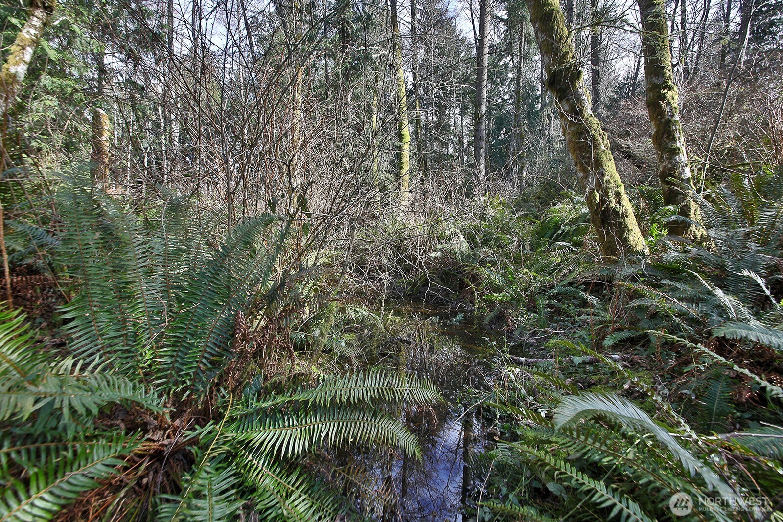-xxx Xxx Scatchet Head Road Clinton, WA 98236 - Photo 10 of 34 a view of a yard