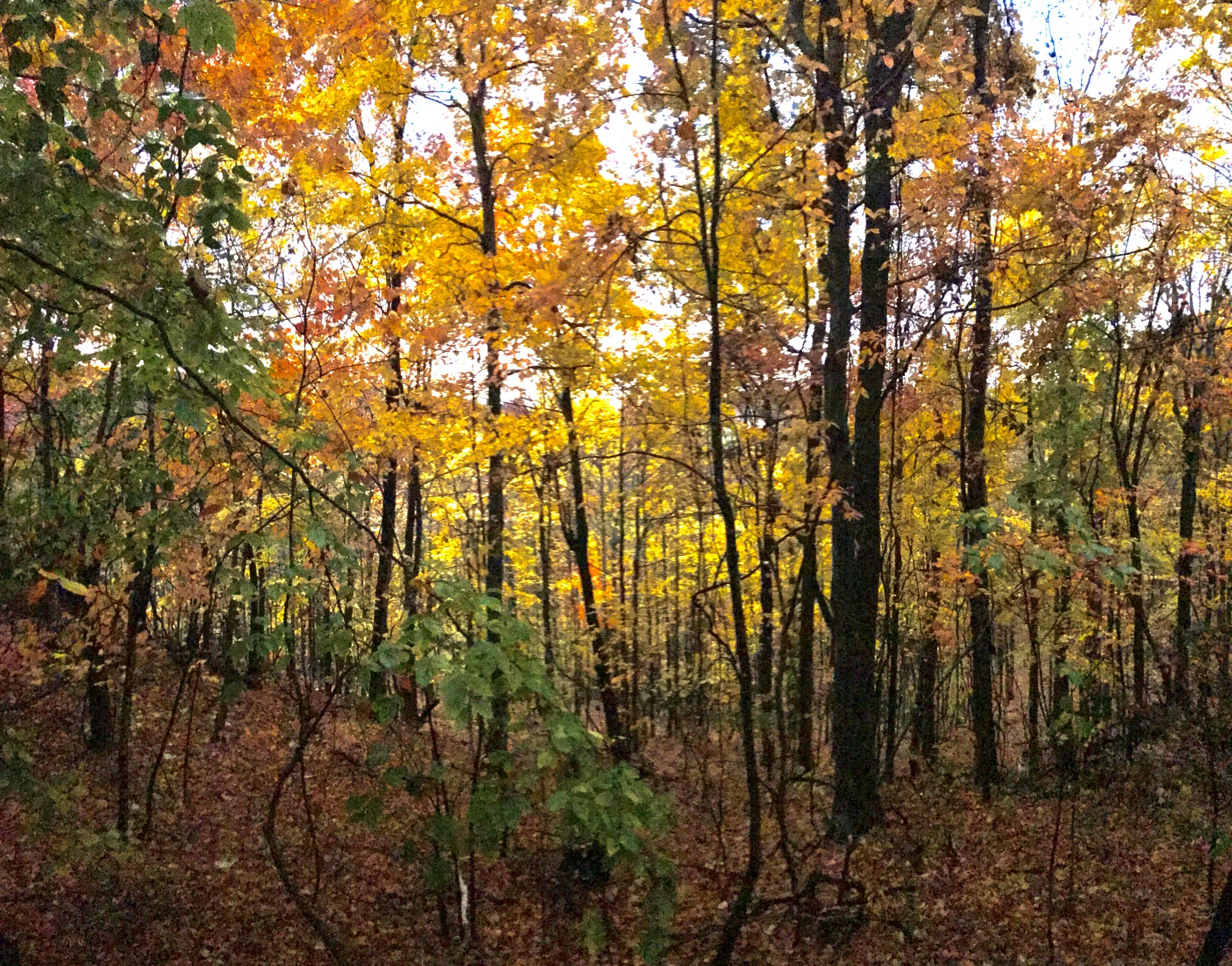 1250 Yellow Flats Road Spencer, TN 38585 - Photo 41 of 42