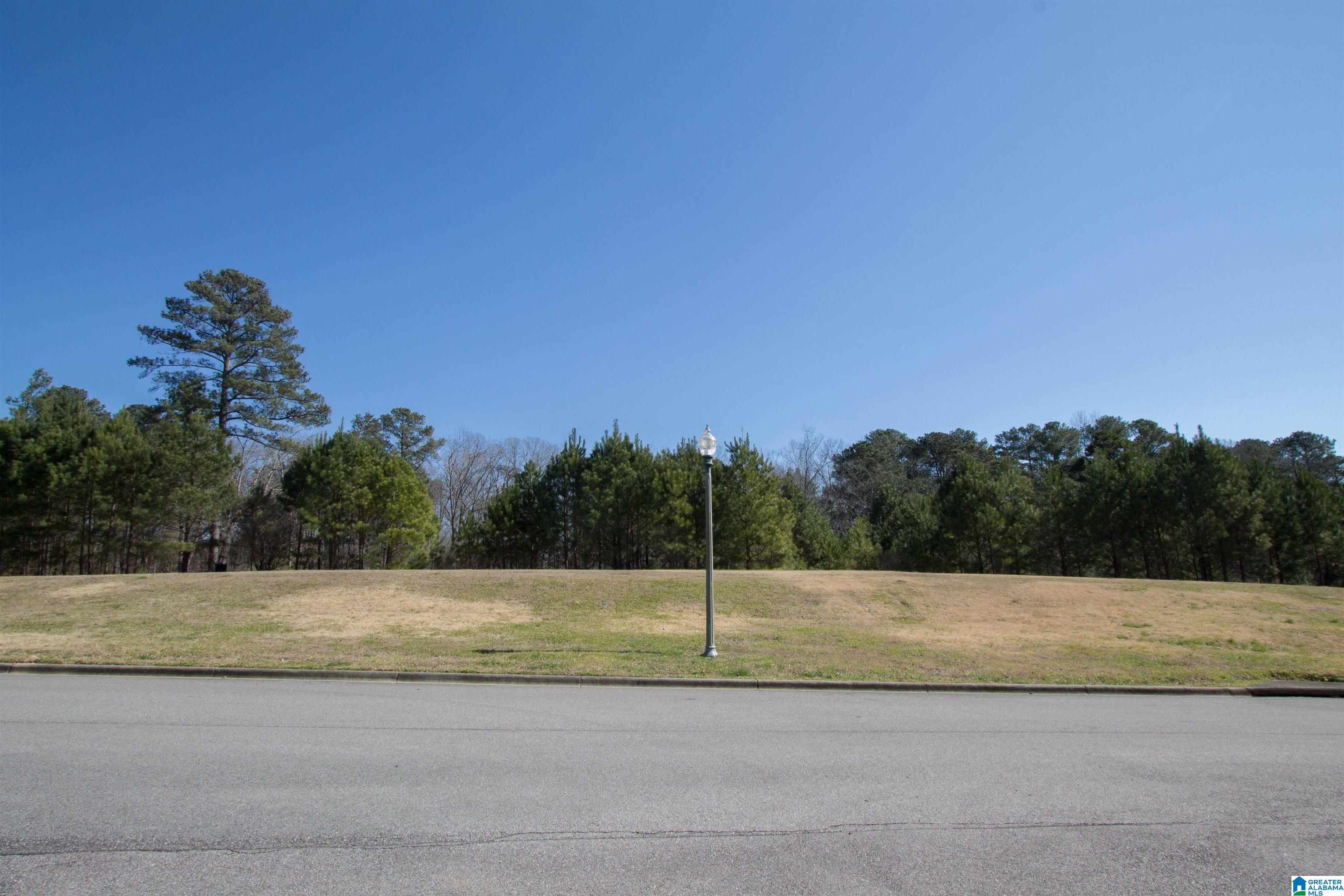 1461 Bristol Manor Birmingham, AL 35242 - Photo 43 of 43