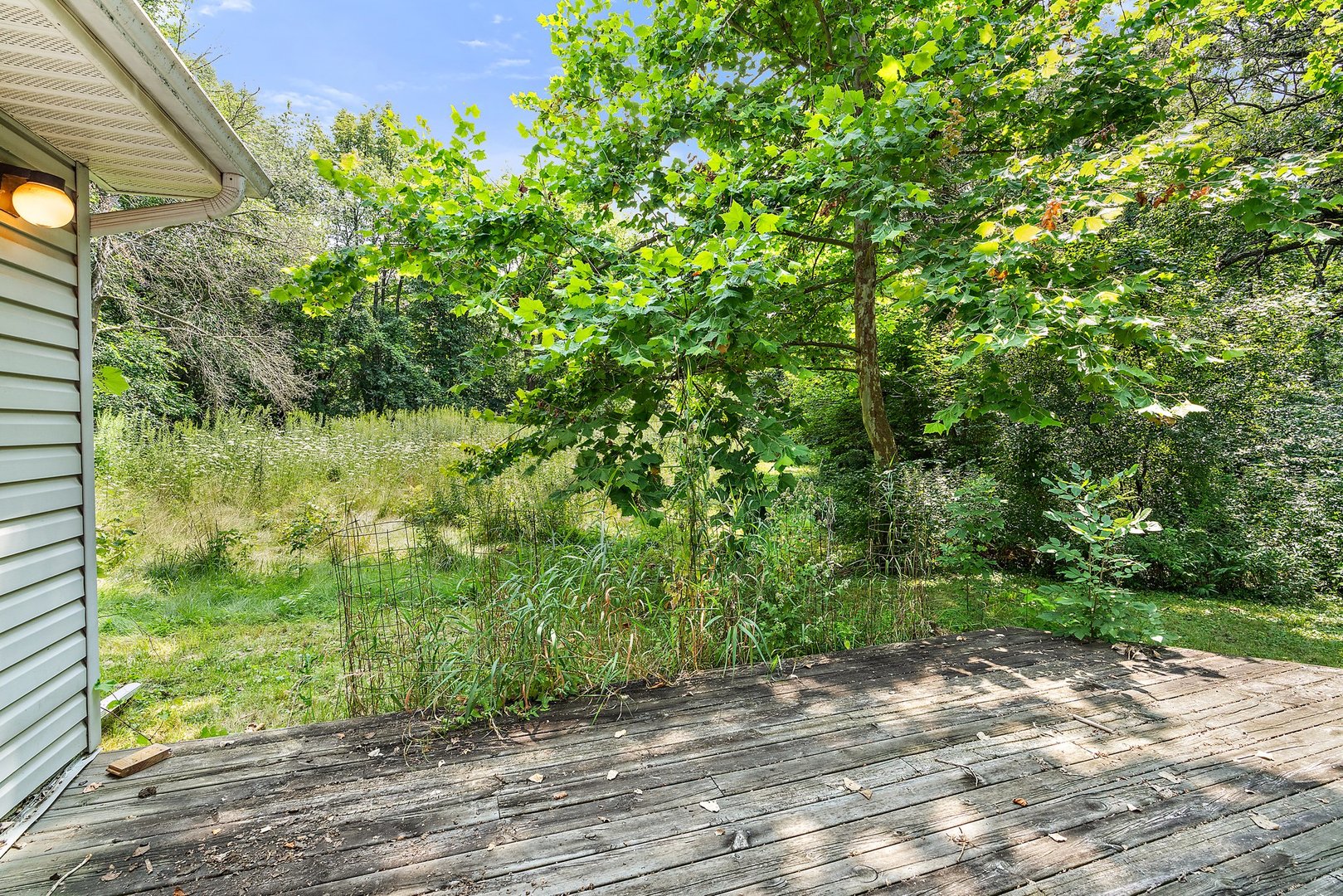 18707 Stevens Road Marengo, IL 60152 - Photo 23 of 35 a view of a yard with plants and large trees