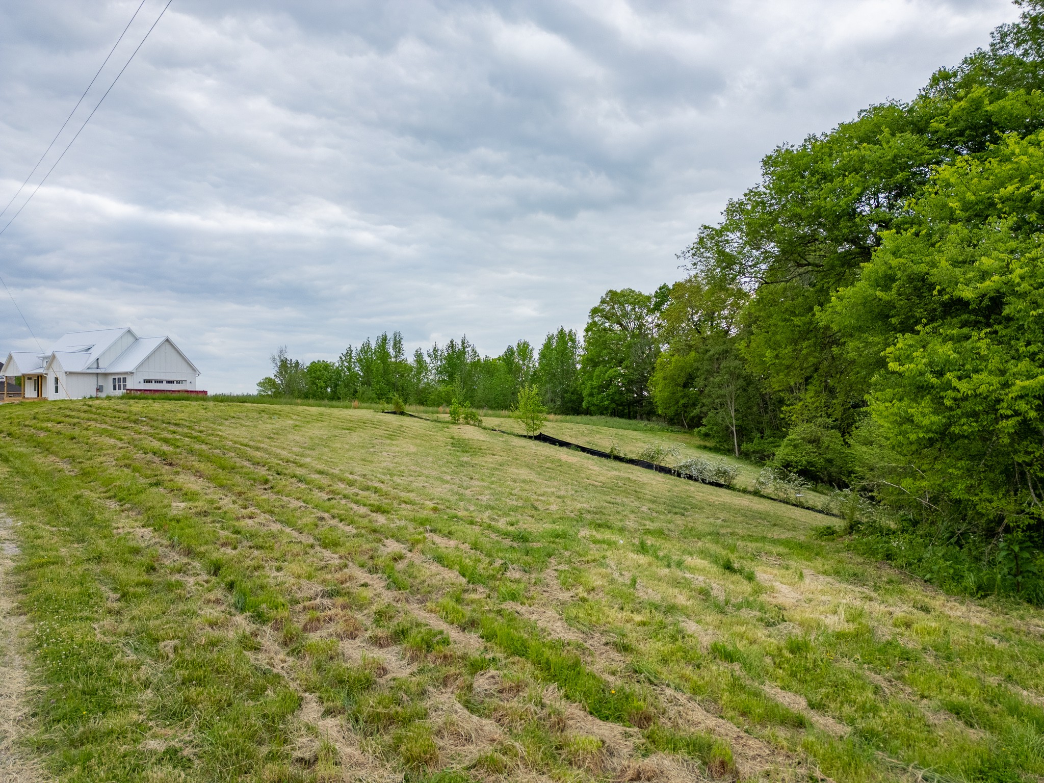 0 Lake Bluff Baxter, TN 38544 - Photo 22 of 23 a view of a field with an trees