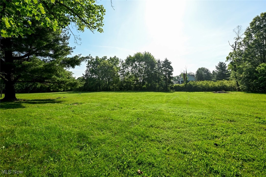 7031 Beach Road Medina, OH 44256 - Photo 23 of 27 Looking out to the 2.5 acres