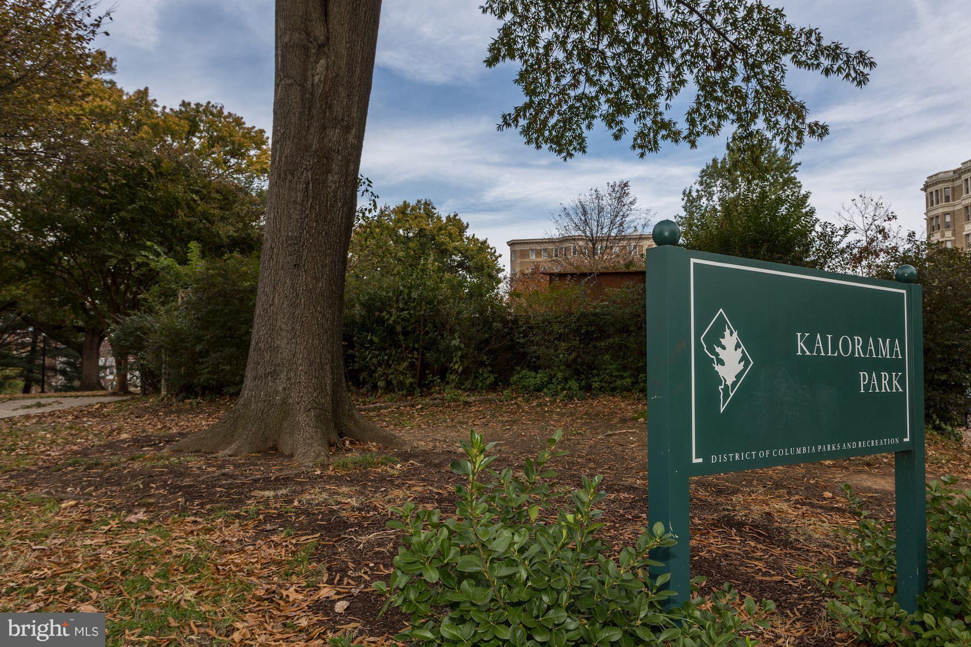 1880 Columbia Road Northwest, Unit 504 Washington, DC 20009 - Photo 25 of 30 Kalorama Park right across the street