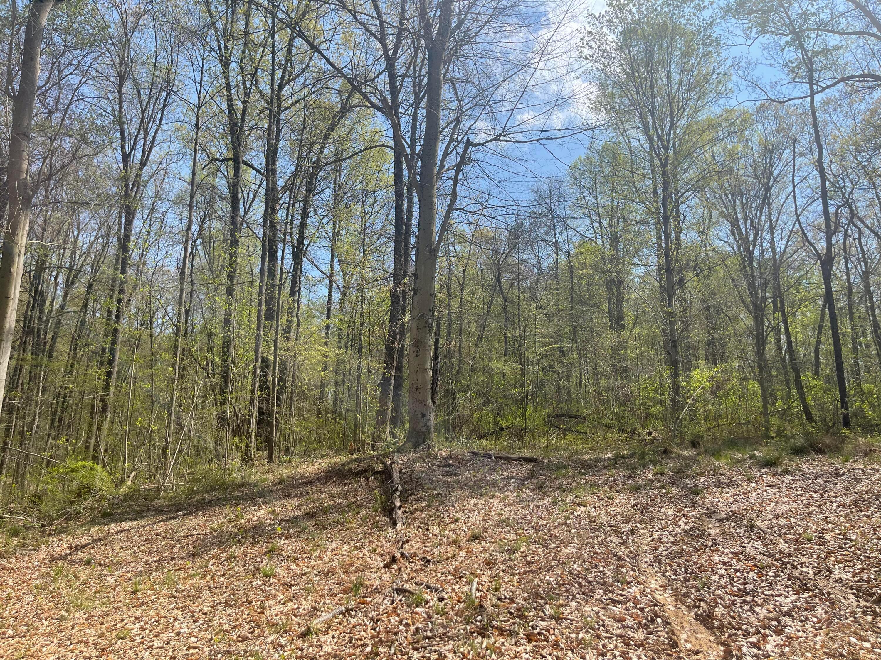0 Dunlap Road Rockbridge, OH 43149 - Photo 9 of 18 0 Dunlap Road, Rockbridge, Ohio