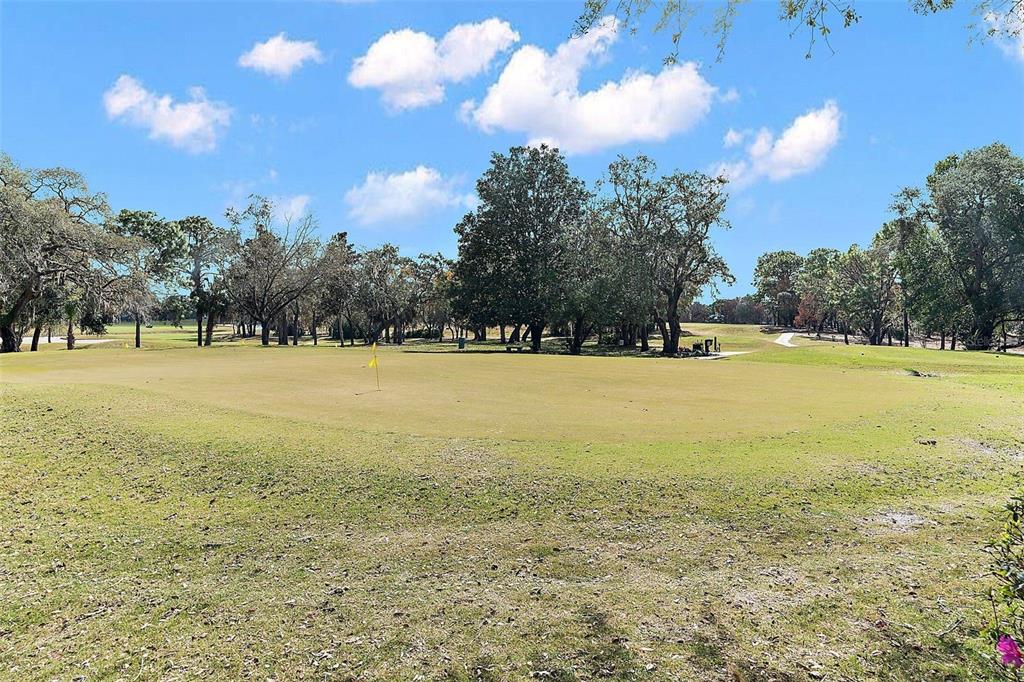 8722 Mississippi Run Weeki Wachee, FL 34613 - Photo 66 of 70