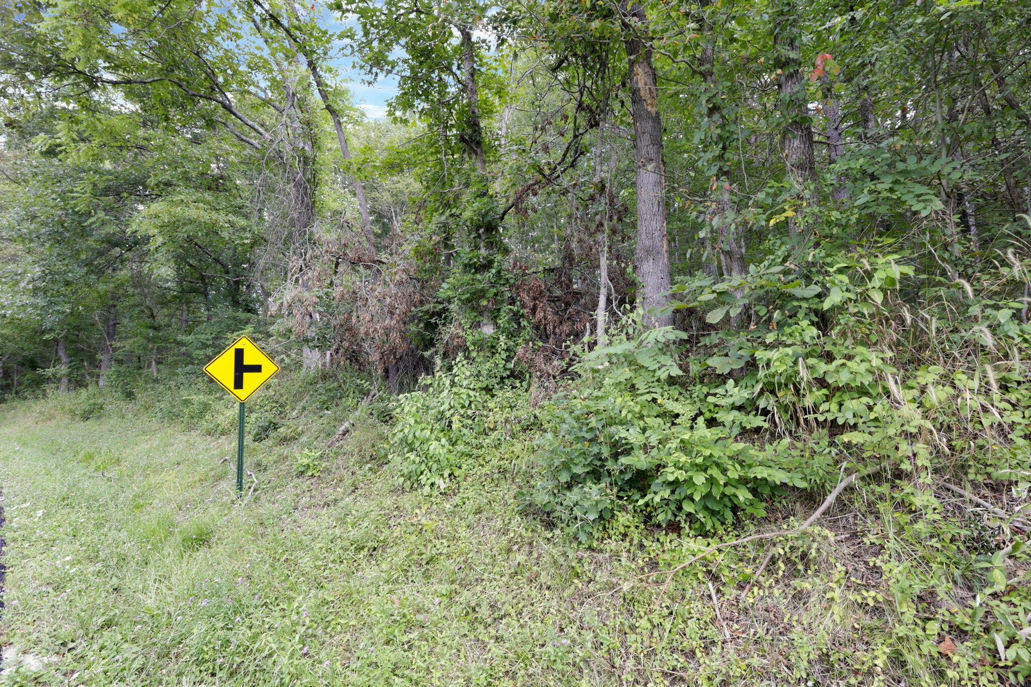 0 Clay Lick Road Logan, OH 43138 - Photo 6 of 24 5-web-or-mls-_S5A0229