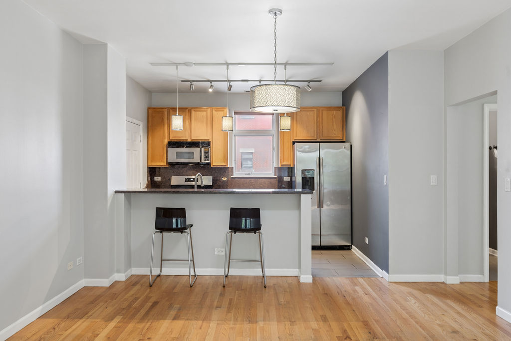 1500 South Halsted Street, Unit 2A Chicago, IL 60607 - Photo 9 of 40 Gallery Image 9