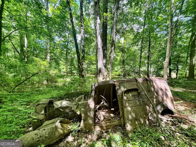 a view of backyard with green space