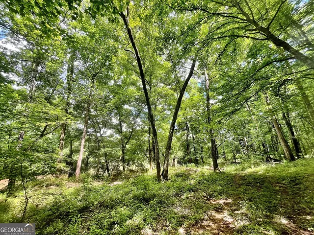 a big yard with lots of green space and trees