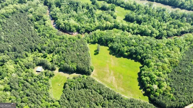 a view of a garden with a building
