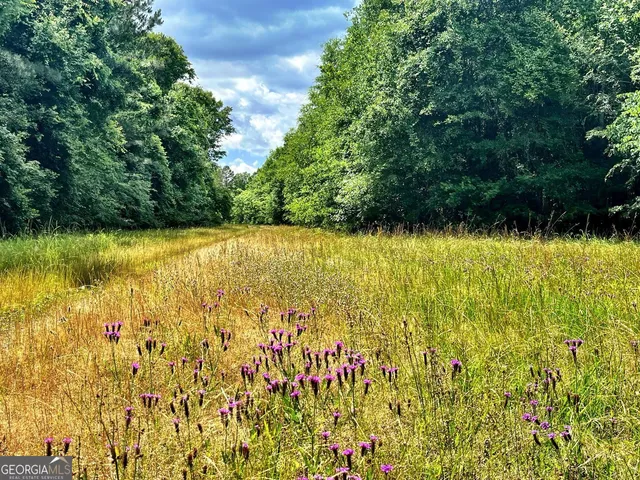 a view of swimming pool from a yard