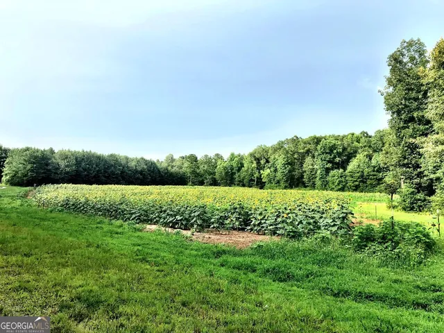a view of a lake in between two trees