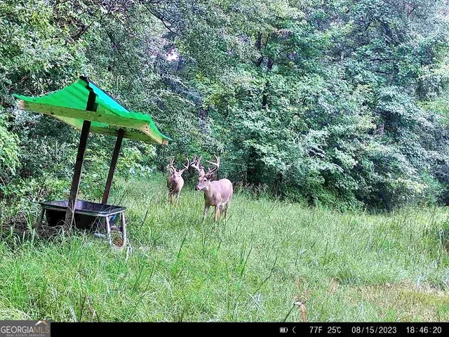 a backyard of a house with seating space