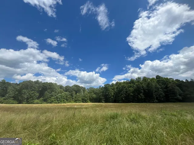 a view of outdoor space and yard