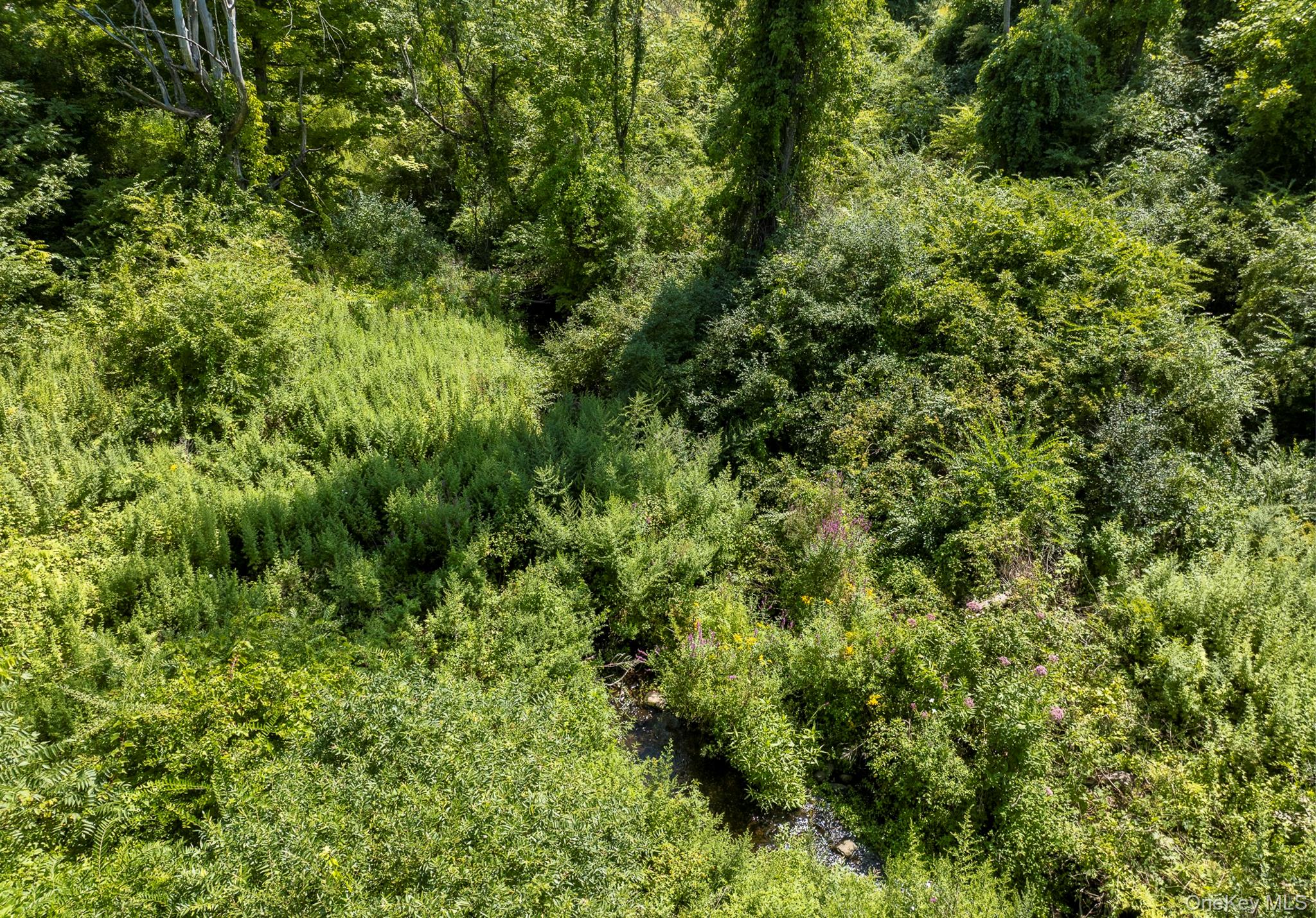 Camby Road Millbrook, NY 12545 - Photo 26 of 30 Stream