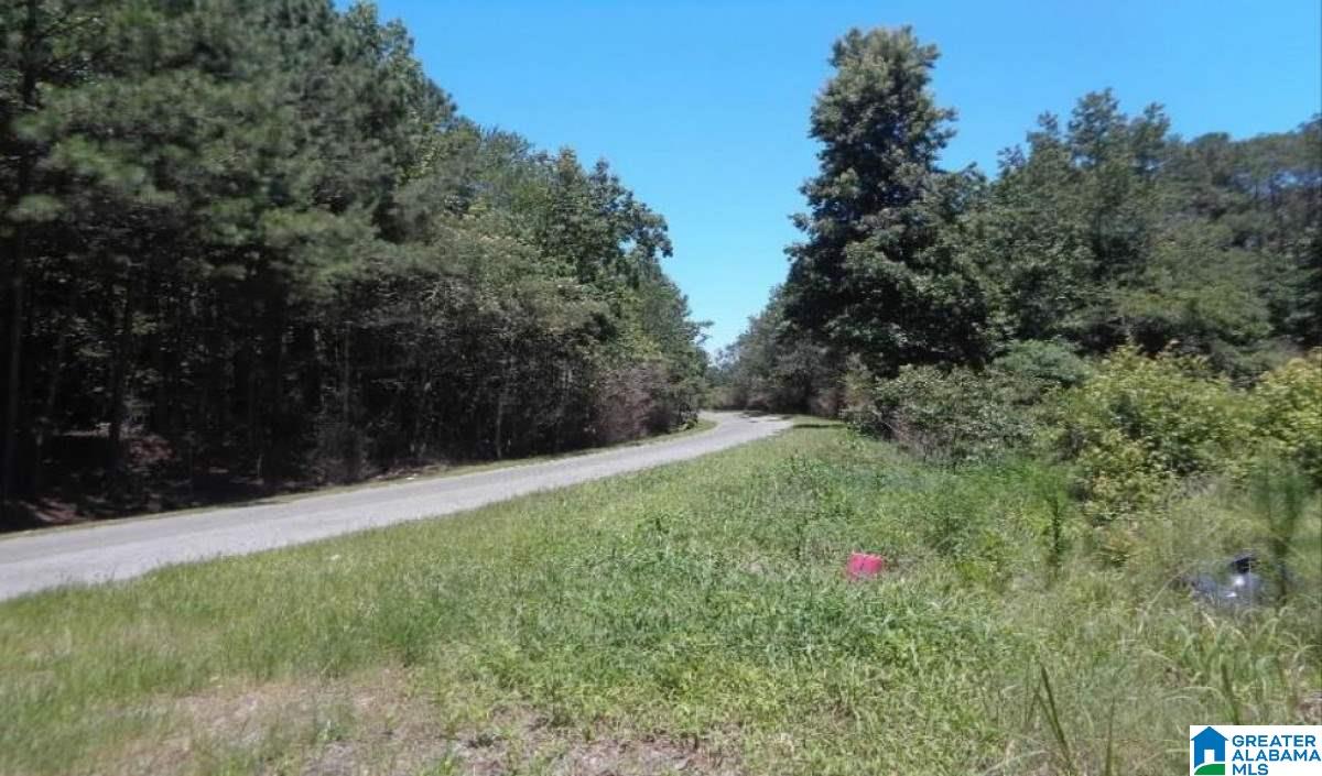 4790 Airport Road Altoona, AL 35952 - Photo 3 of 6