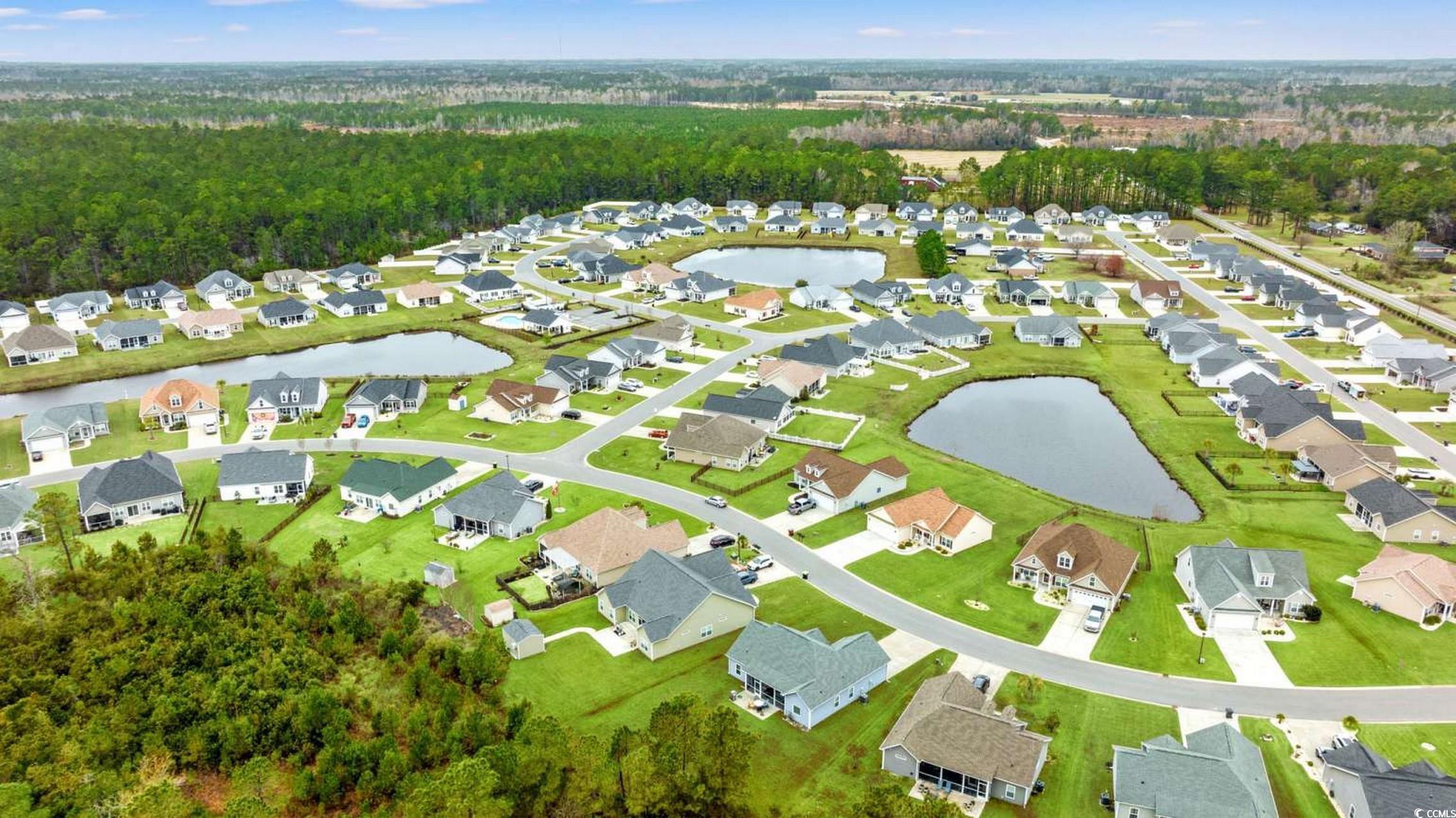 286 Copperwood Loop Conway, SC 29526 - Photo 37 of 40 Aerial view of residential area with a large body of water