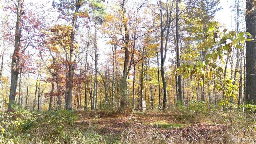 0 Hosner Road Oxford, MI 48370 - Photo 23 of 27