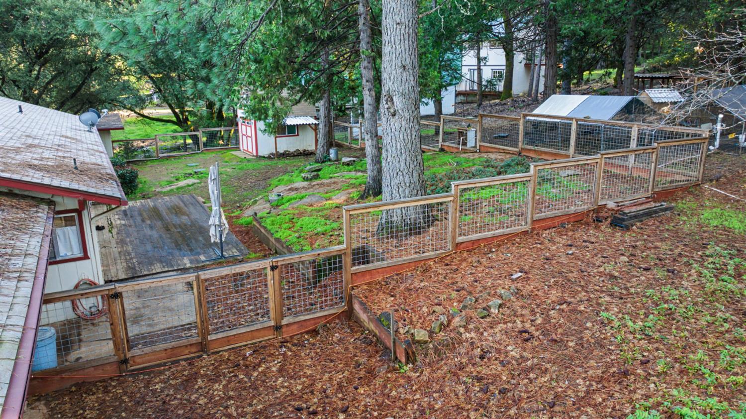 23568 Robin Road Pioneer, CA 95666 - Photo 38 of 54 Fully fenced back yard