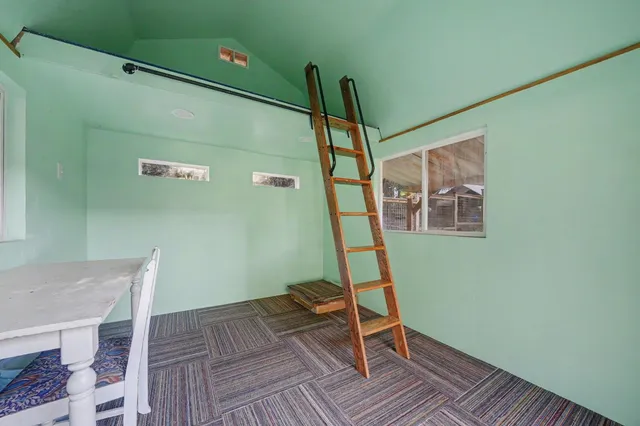 a view of a yard with large trees