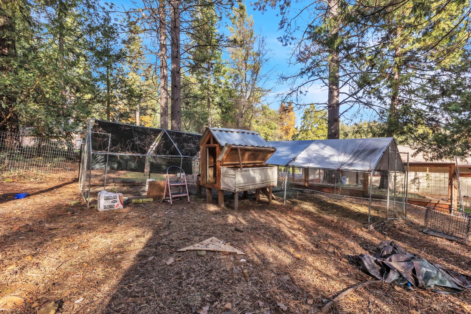 23568 Robin Road Pioneer, CA 95666 - Photo 49 of 54 Chicken coop area