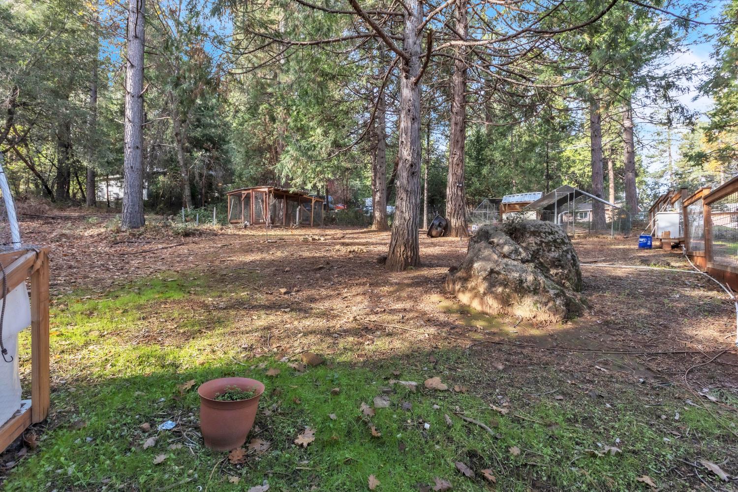 23568 Robin Road Pioneer, CA 95666 - Photo 50 of 54