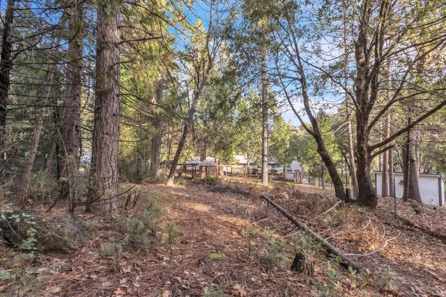 $379,000 | 23568 Robin Road, Pioneer, CA 95666