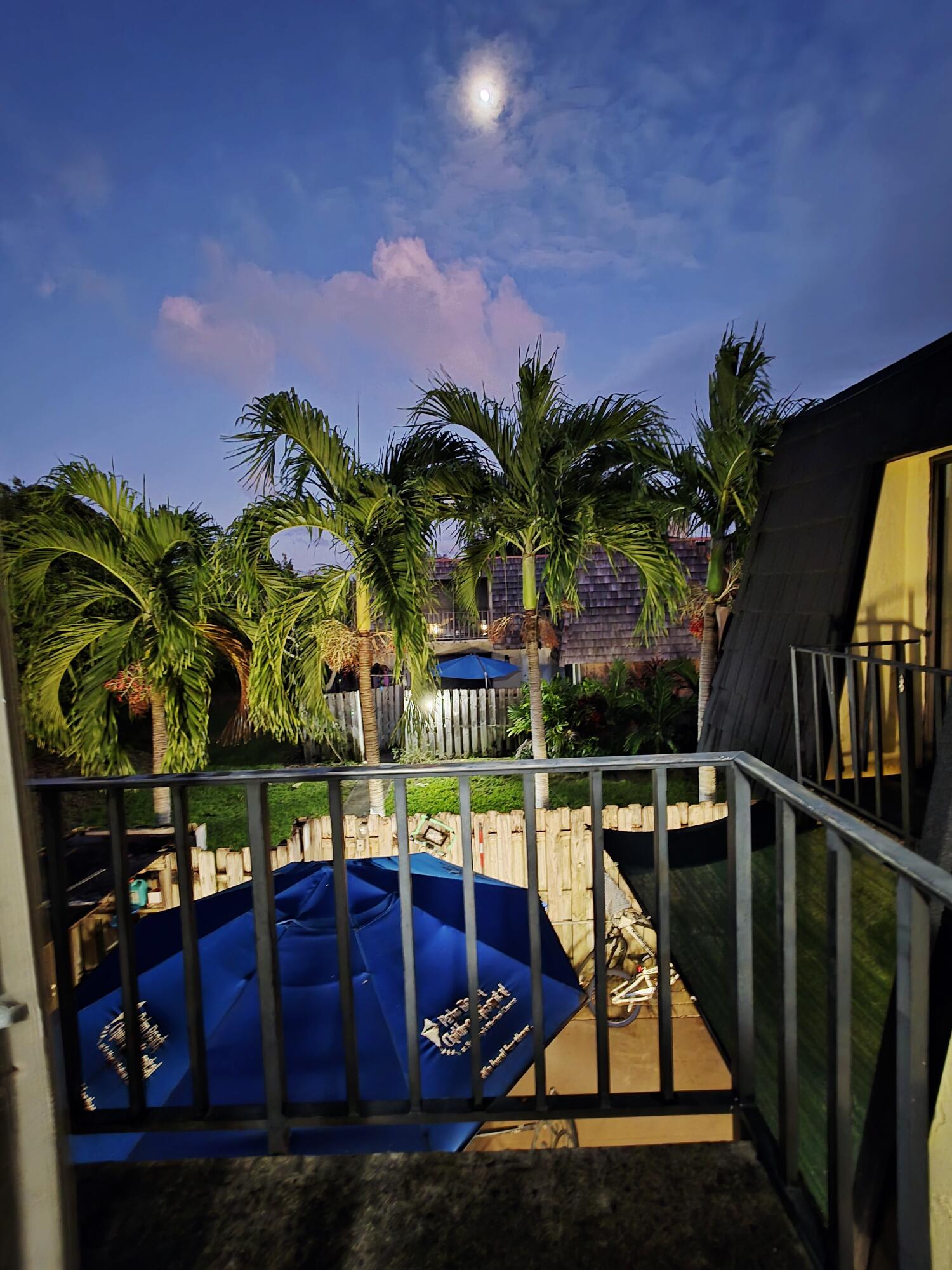 218 Woodland Road Palm Springs, FL 33461 - Photo 1 of 45 a view of a yard with plants