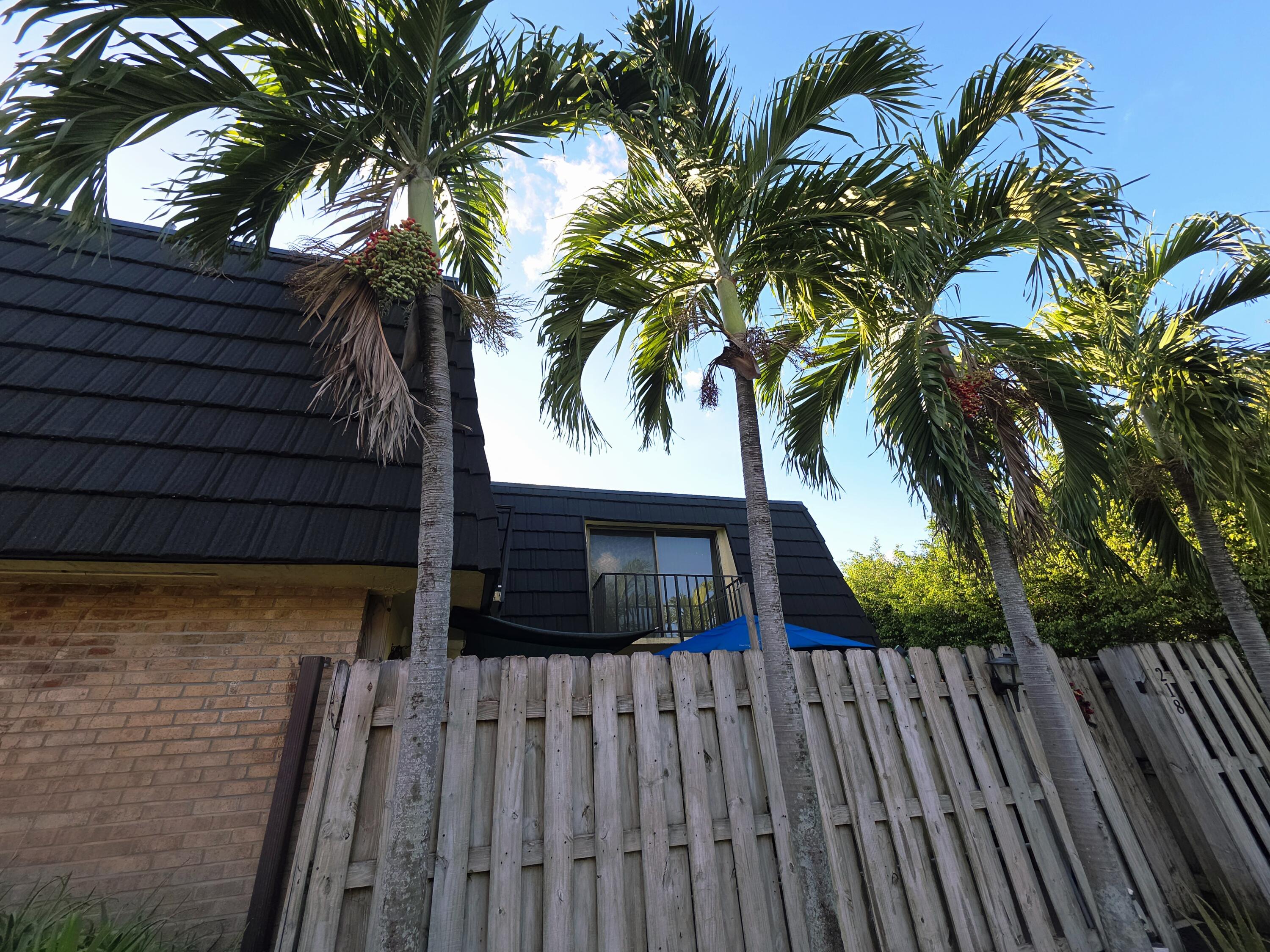 218 Woodland Road Palm Springs, FL 33461 - Photo 36 of 45 a view of outdoor space with deck and trees