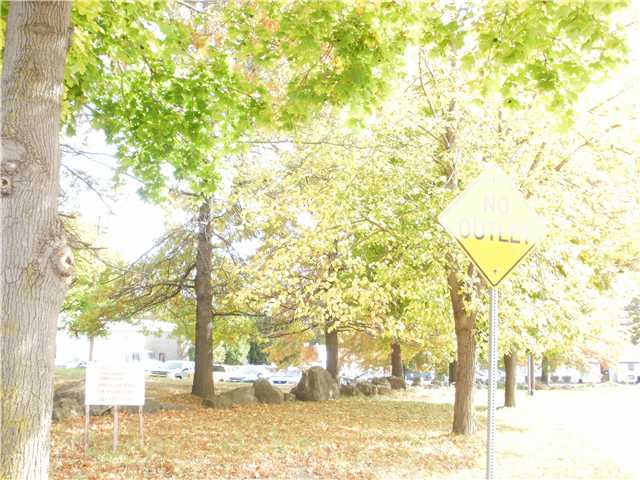 92 Halstead Street Rochester, NY 14610 - Photo 1 of 1 Land
