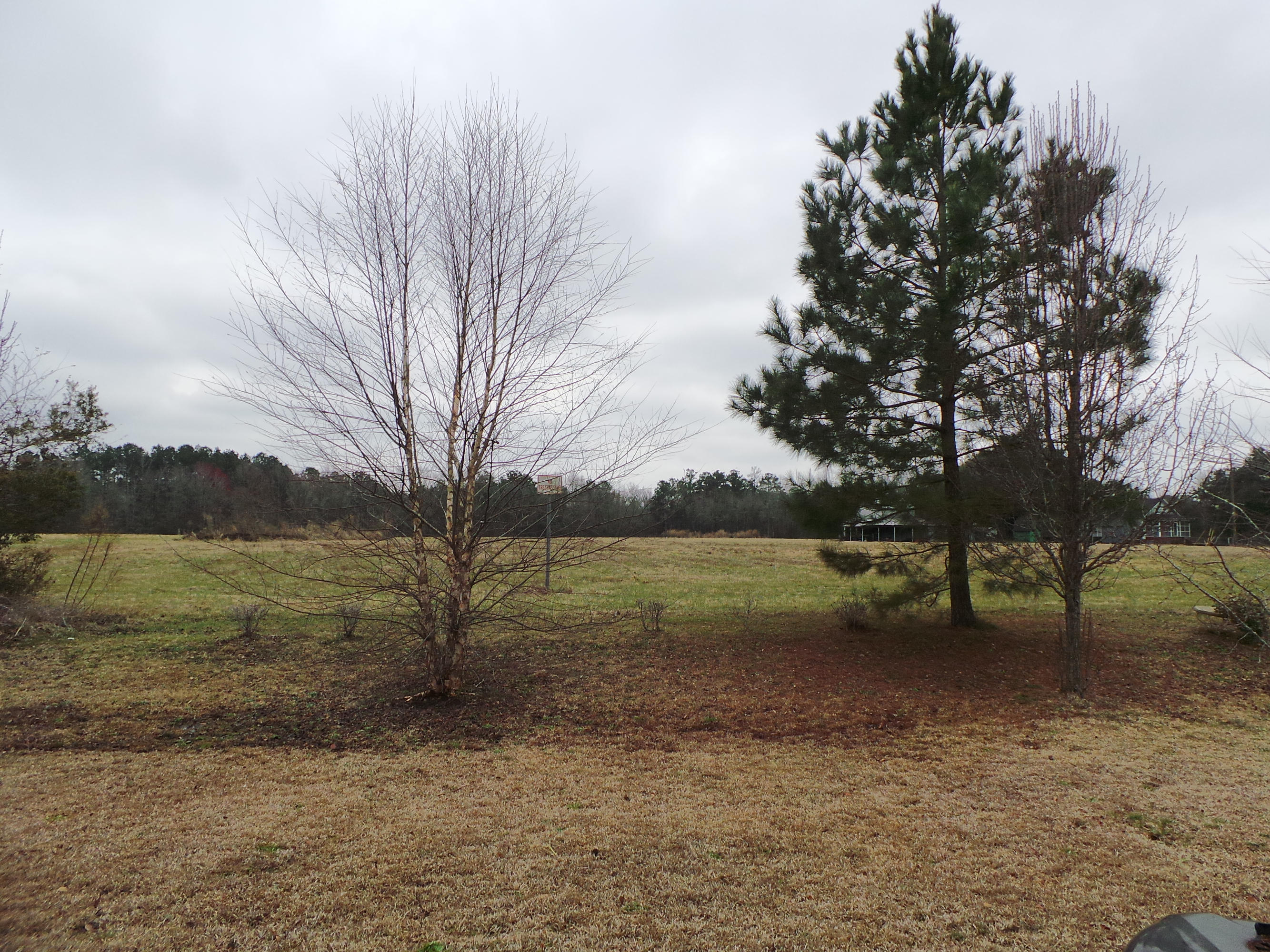 3543 Galaxy Road Ladson, SC 29456 - Photo 15 of 15 Private Backyard