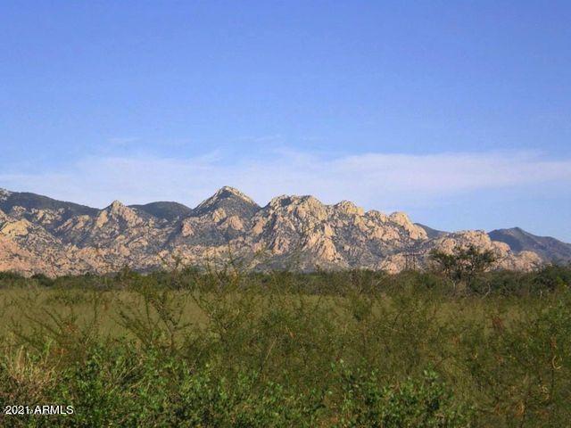 Tbd East Horse Ranch Road, Unit 65 St. David, AZ 85630 - Photo 3 of 13 20210130232500934441000000-o
