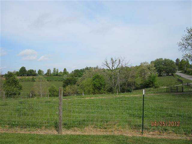8729 Ironworks Road Winchester, KY 40391 - Photo 5 of 5 Photo 5
