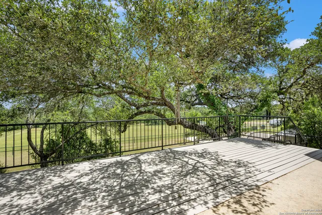 a view of a backyard with a large tree