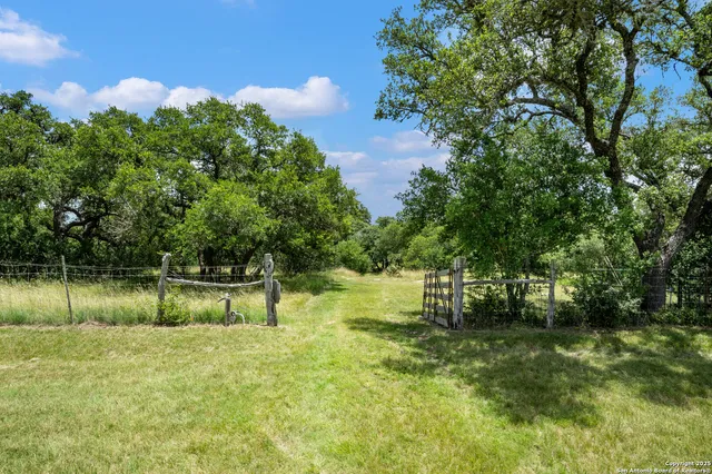 a view of a garden with a lake