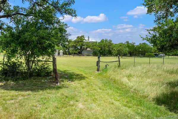 a view of a garden with a tree
