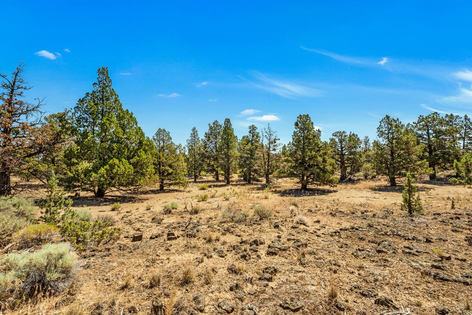 62995 Dickey Road Bend, OR 97701 - Photo 45 of 52 OReilly_20240711_66_92708_72ppi