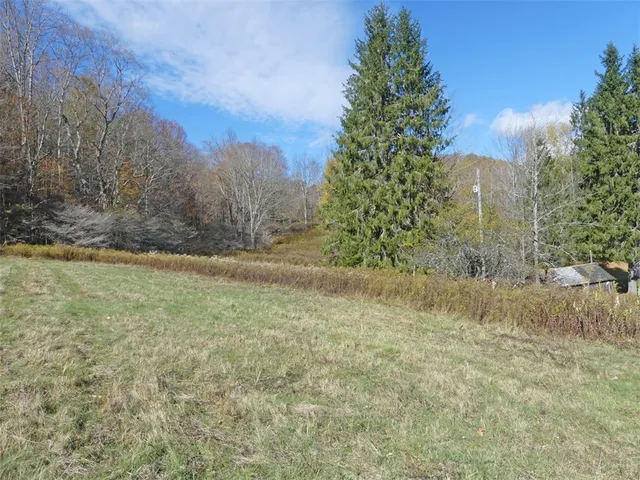 $659,000 | 606 Bussey Hollow Road, Andes, NY 13731