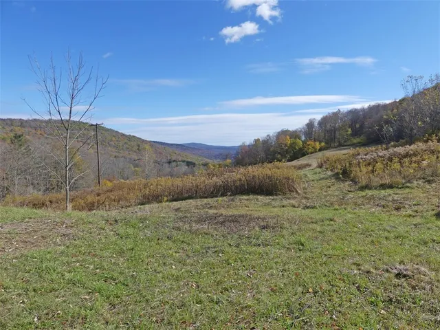 $659,000 | 606 Bussey Hollow Road, Andes, NY 13731